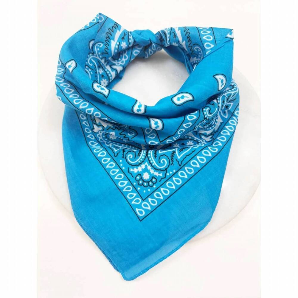 NEW LOVE AND REPEAT unisex paisley pattern bandana in blue